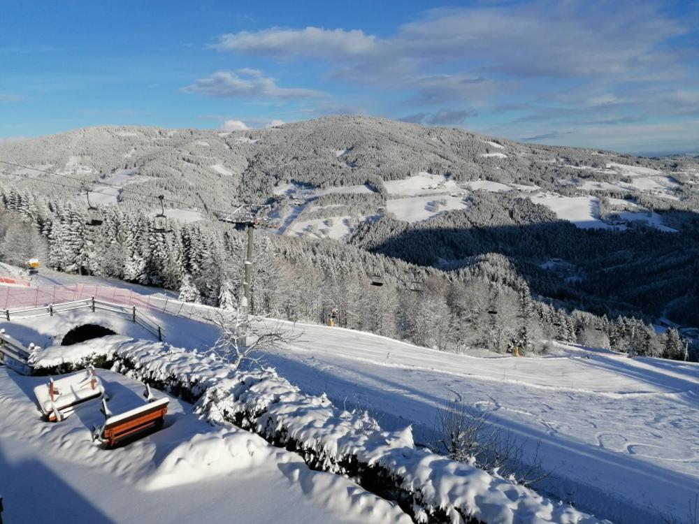 Alpengasthof Fernblick Mönichkirchen Extérieur photo