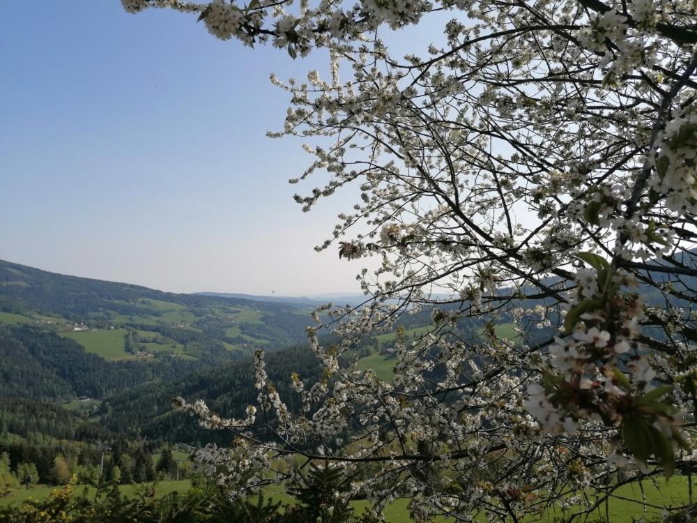 Alpengasthof Fernblick Mönichkirchen Extérieur photo